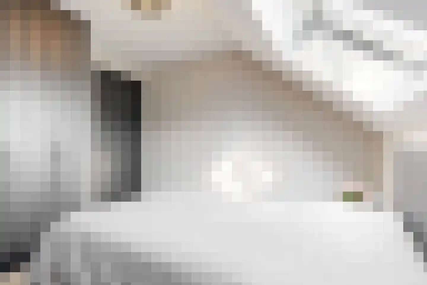 Domineesweg 24 Urk thumbnail 43