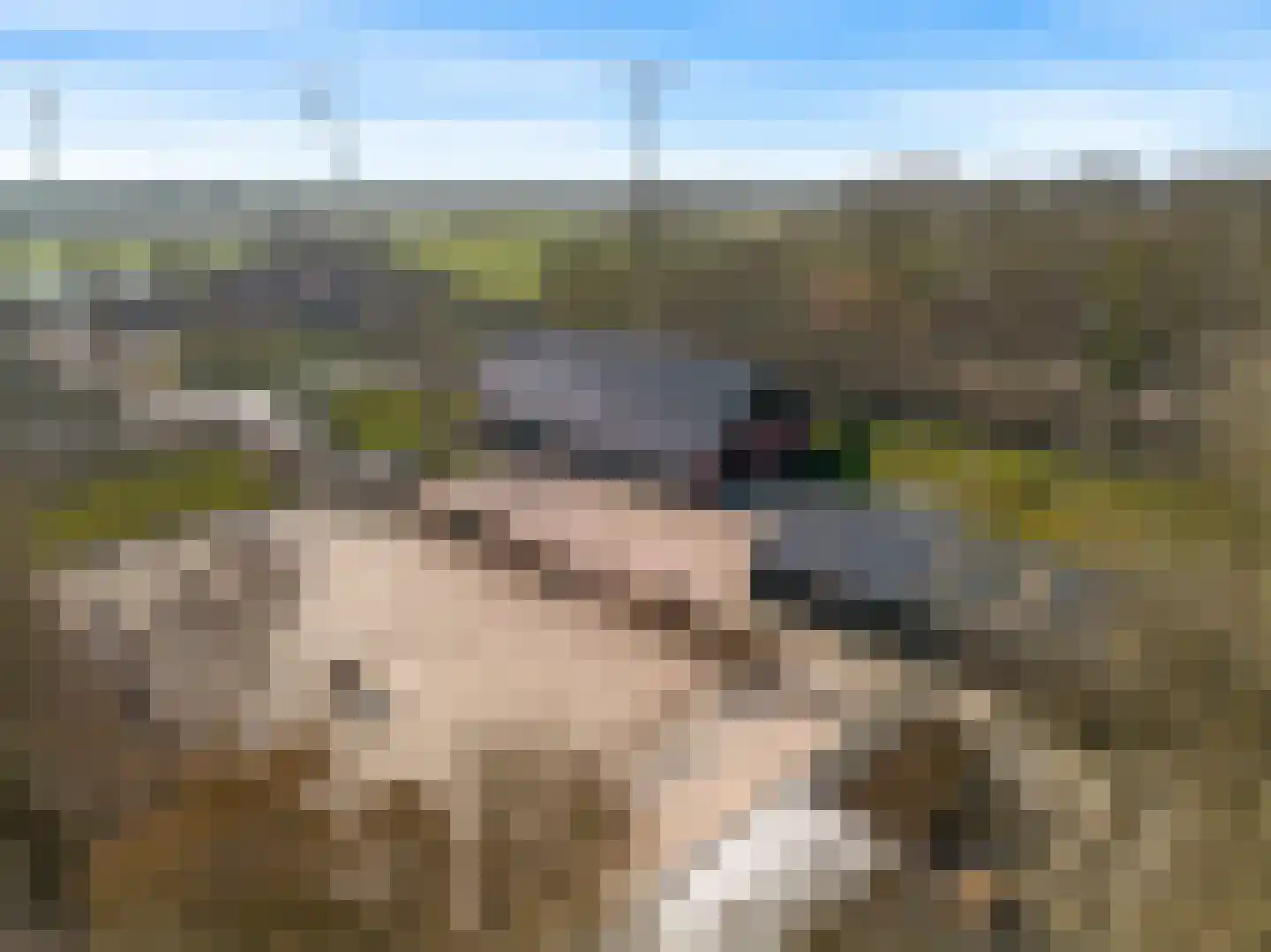 Domineesweg 24 Urk thumbnail 5