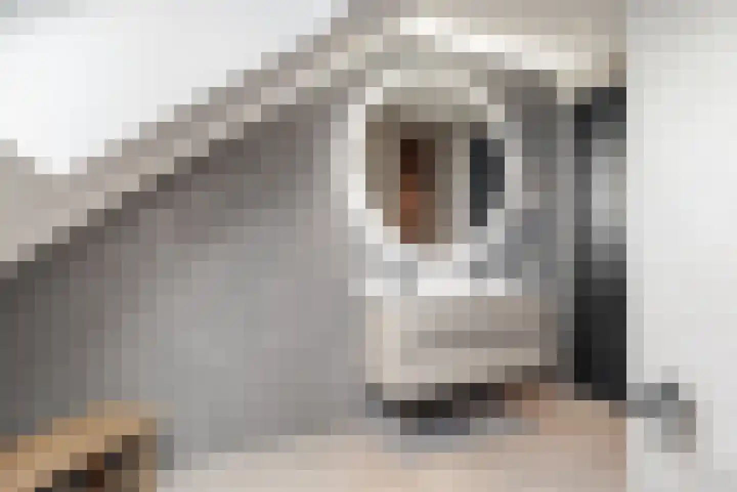 Domineesweg 24 Urk thumbnail 50