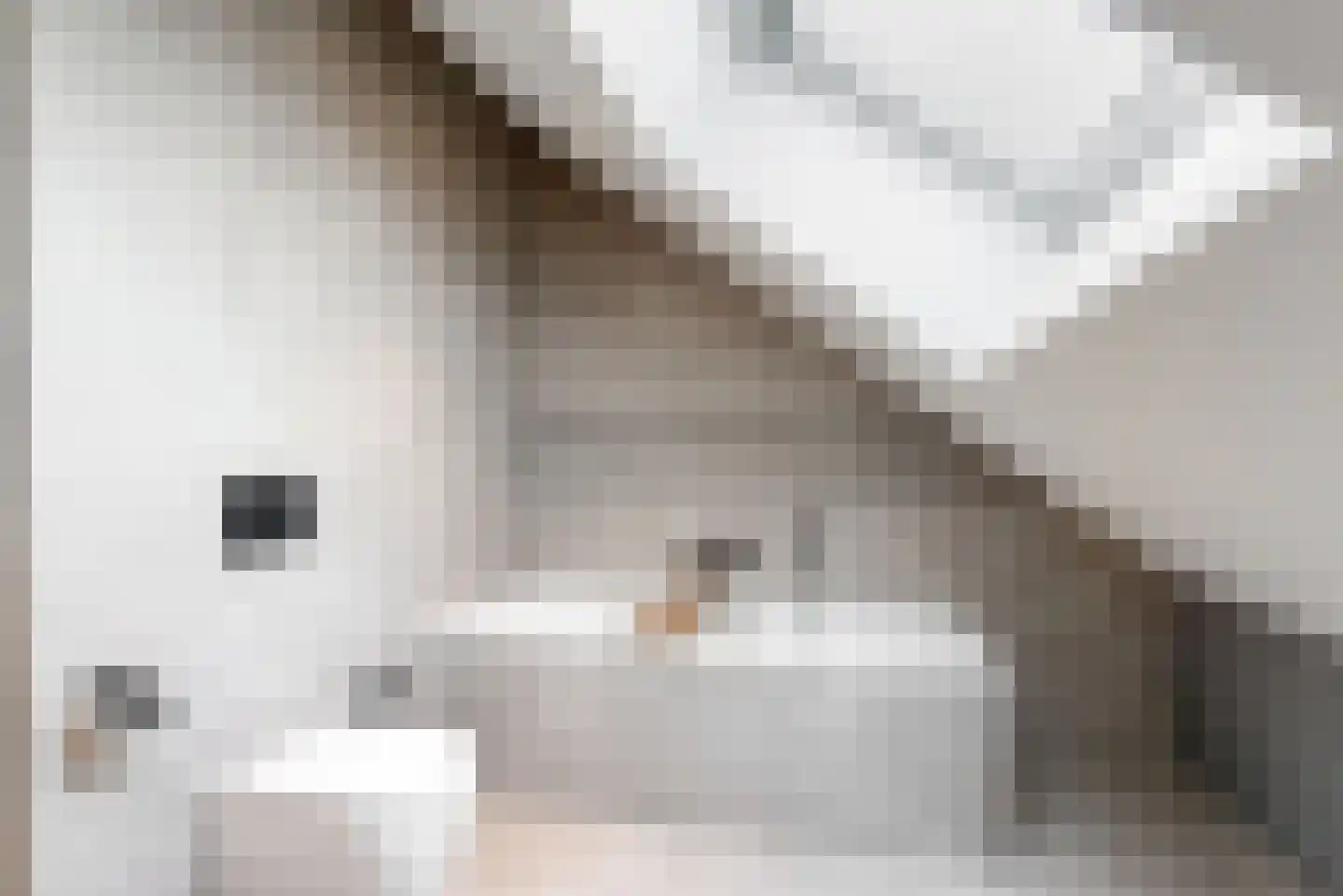 Domineesweg 24 Urk thumbnail 51