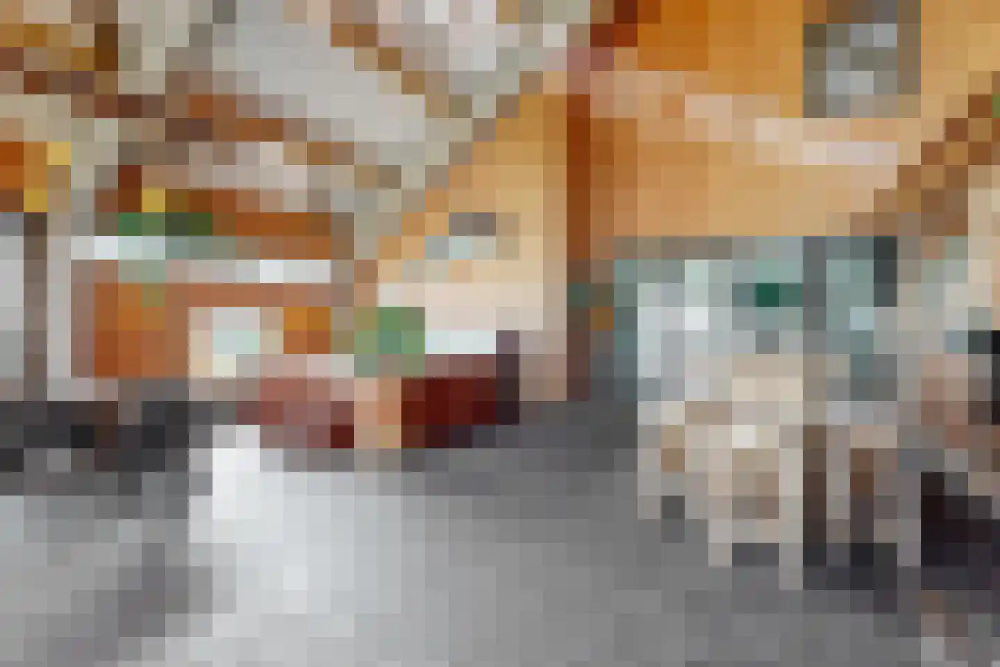 Domineesweg 24 Urk thumbnail 59