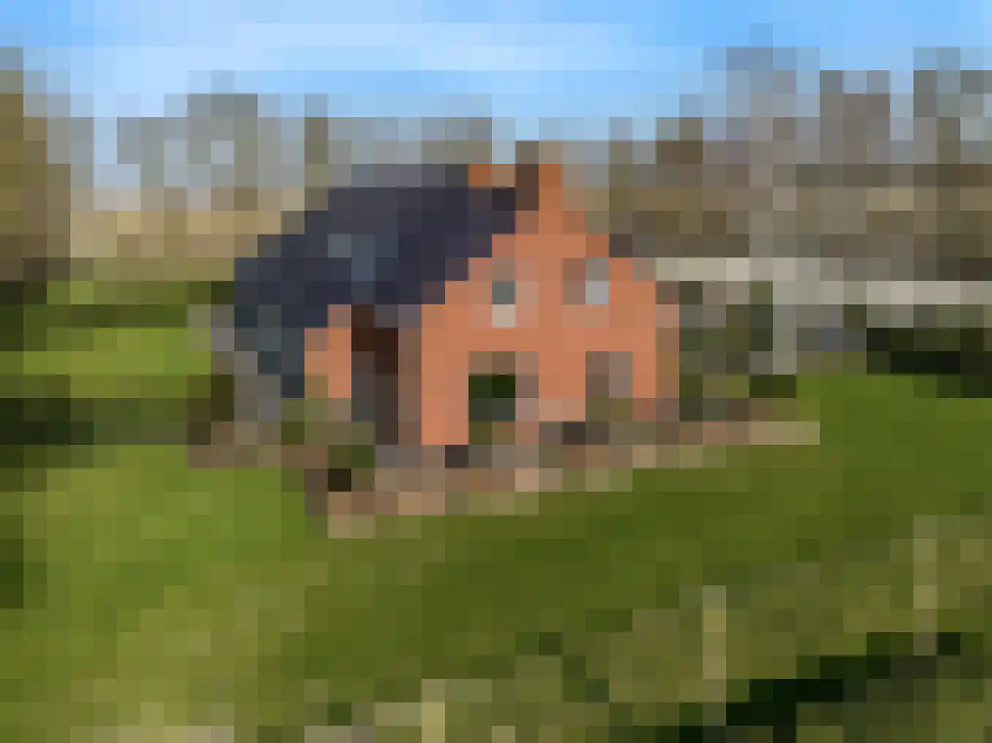 Domineesweg 24 Urk thumbnail 7