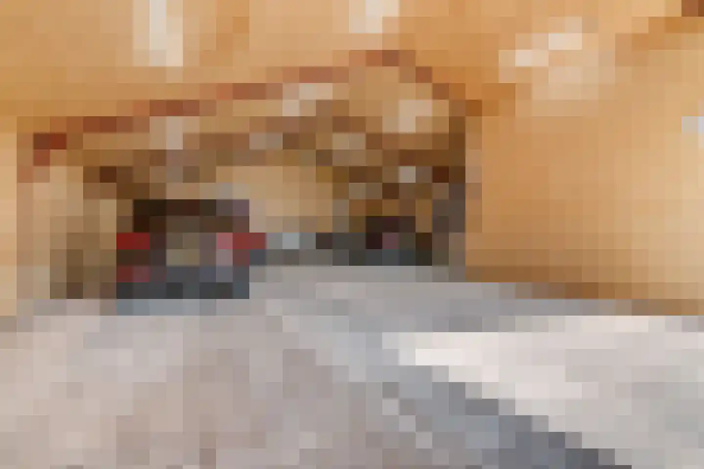 Domineesweg 24 Urk thumbnail 72