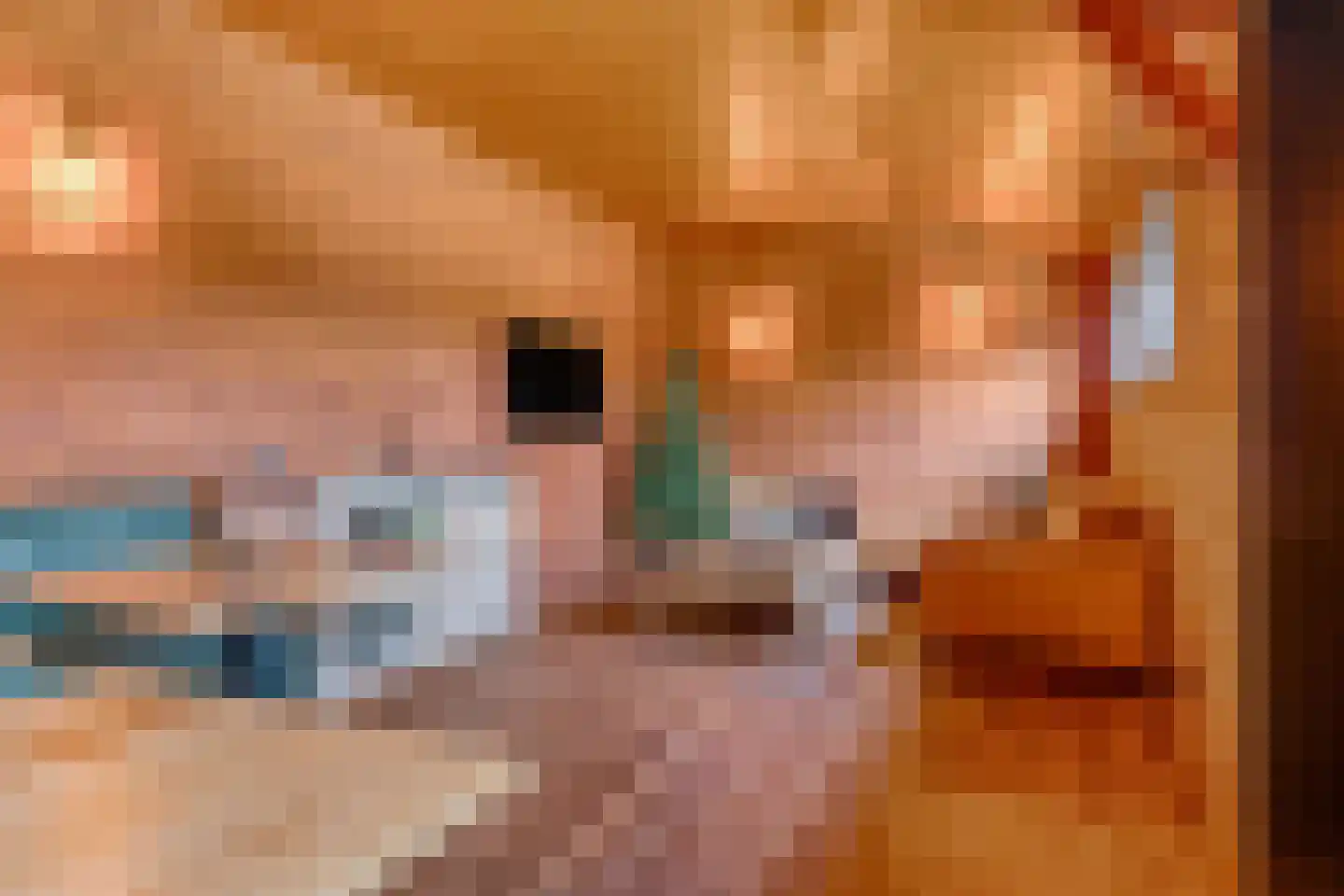 Domineesweg 24 Urk thumbnail 74