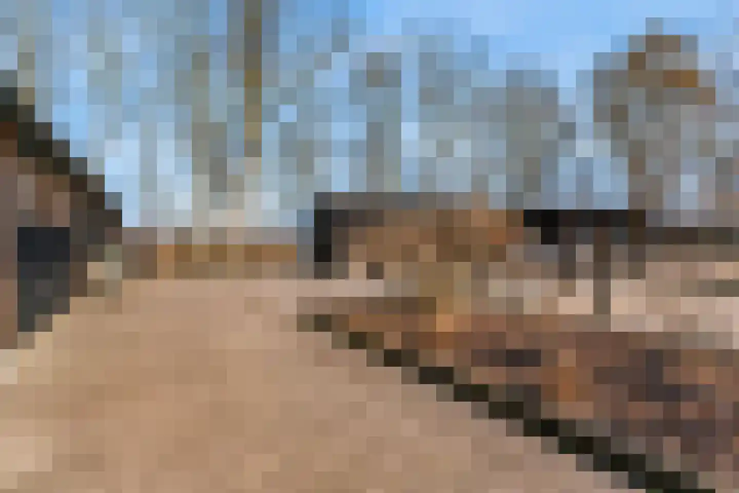 Domineesweg 24 Urk thumbnail 76