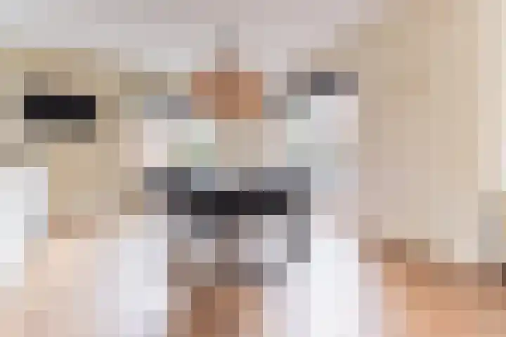 Dominicanenlaan 20 Alphen aan den Rijn thumbnail 13