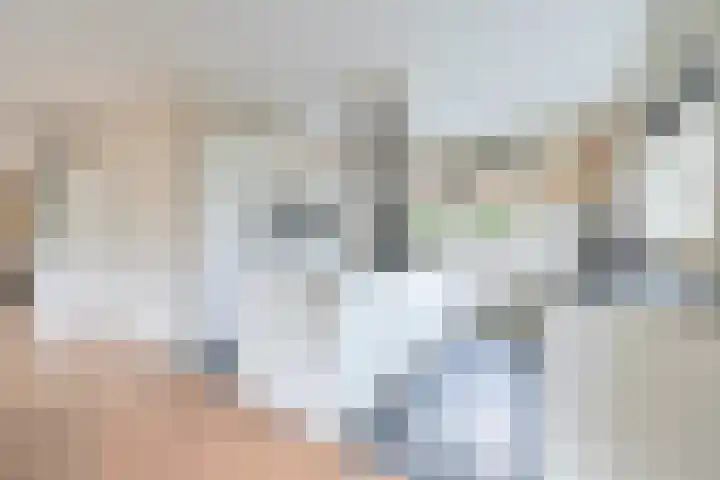 Dominicanenlaan 20 Alphen aan den Rijn thumbnail 16