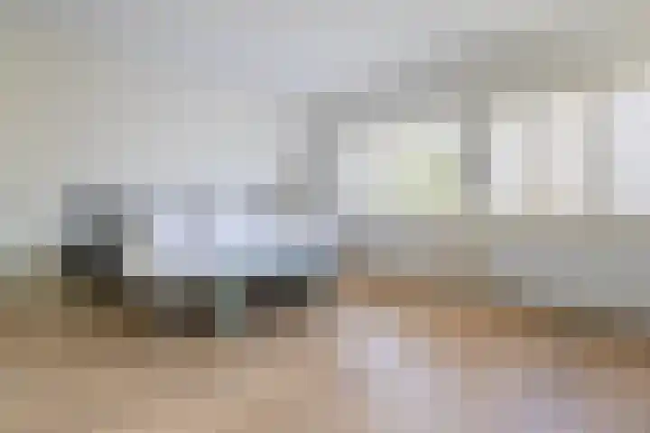 Dominicanenlaan 20 Alphen aan den Rijn thumbnail 22