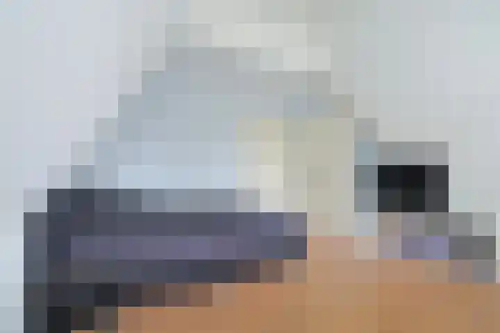 Dominicanenlaan 20 Alphen aan den Rijn thumbnail 25