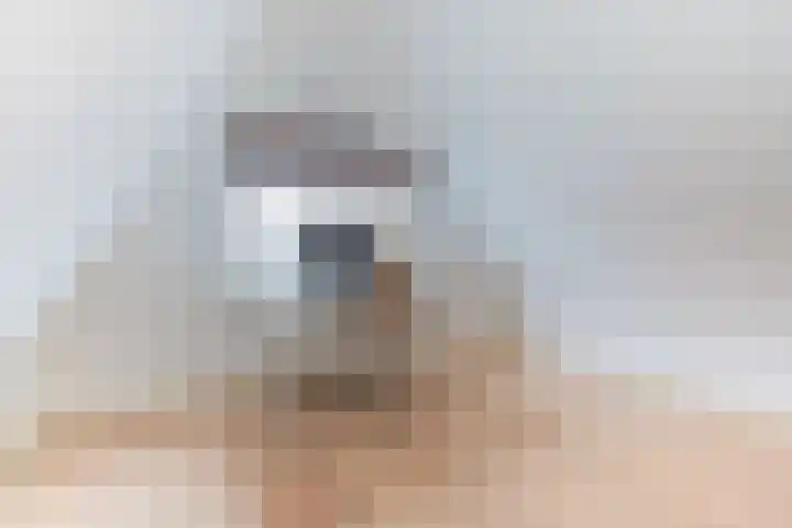 Dominicanenlaan 20 Alphen aan den Rijn thumbnail 34