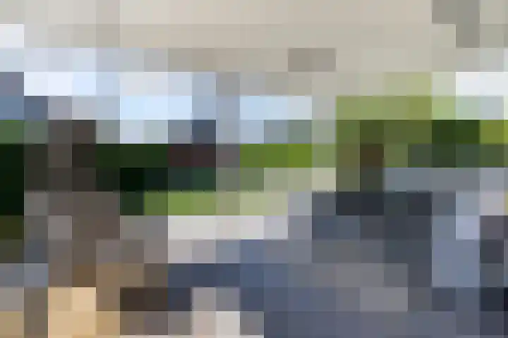 Dominicanenlaan 20 Alphen aan den Rijn thumbnail 38