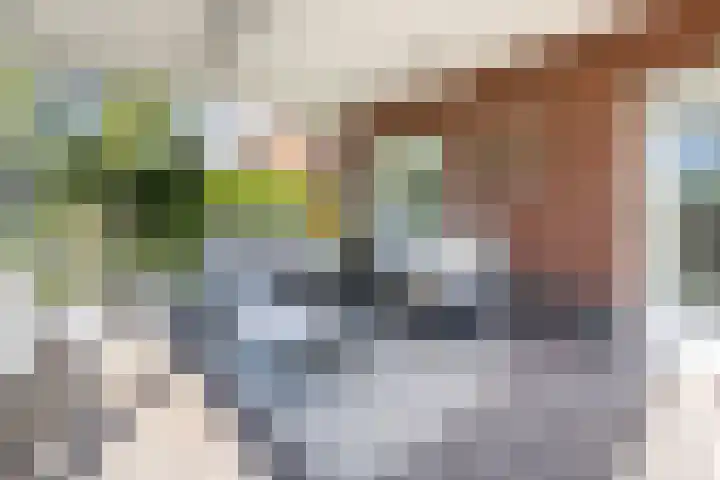 Dominicanenlaan 20 Alphen aan den Rijn thumbnail 39
