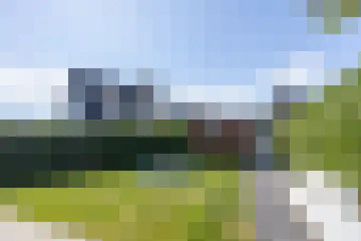 Dominicanenlaan 20 Alphen aan den Rijn thumbnail 41