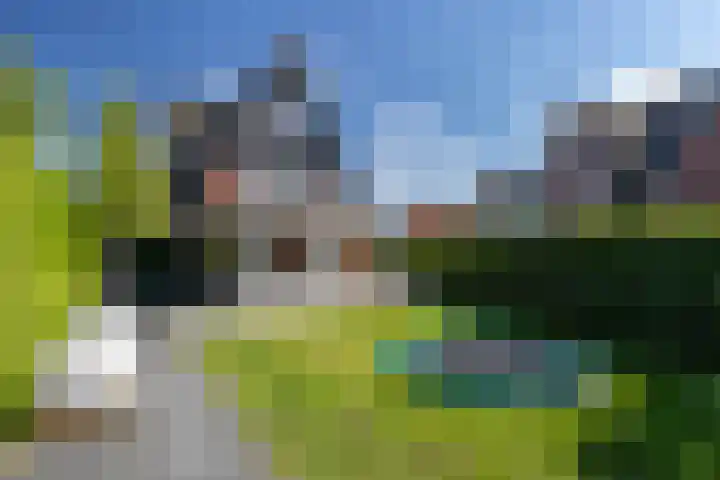 Dominicanenlaan 20 Alphen aan den Rijn thumbnail 42
