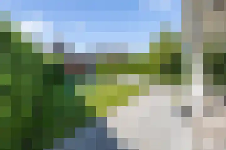 Dominicanenlaan 20 Alphen aan den Rijn thumbnail 43