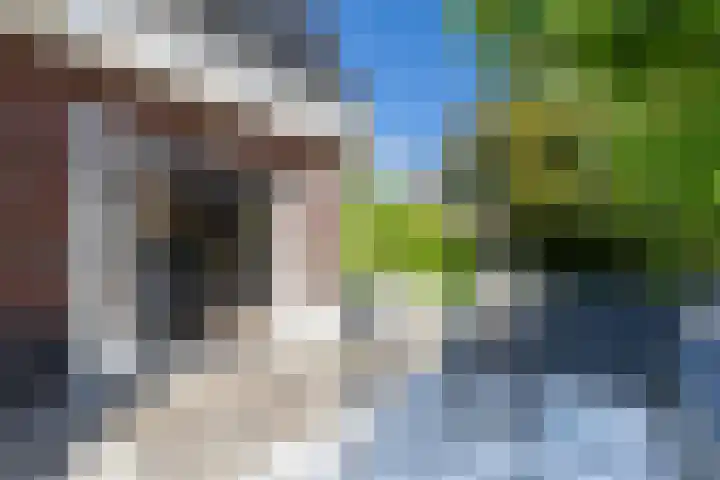 Dominicanenlaan 20 Alphen aan den Rijn thumbnail 44