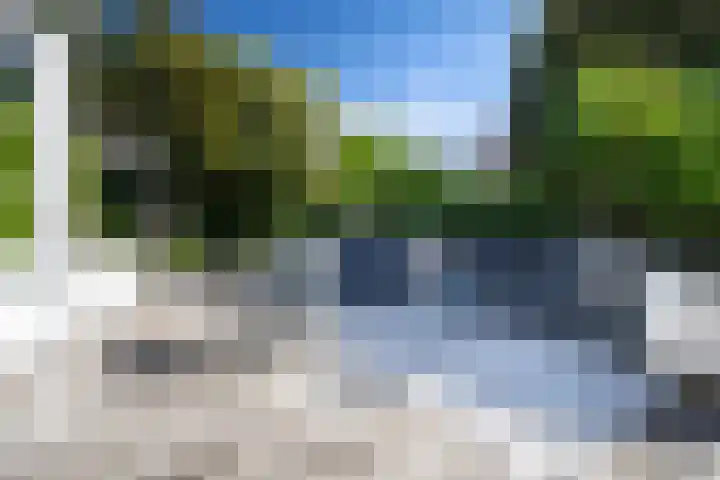 Dominicanenlaan 20 Alphen aan den Rijn thumbnail 45