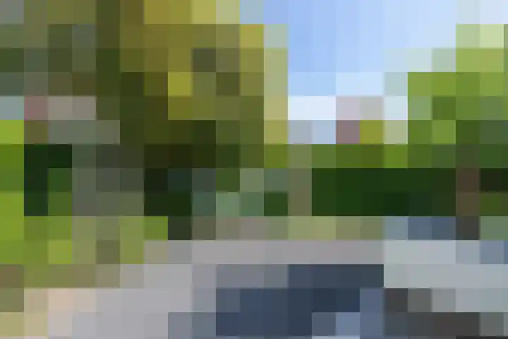Dominicanenlaan 20 Alphen aan den Rijn thumbnail 46