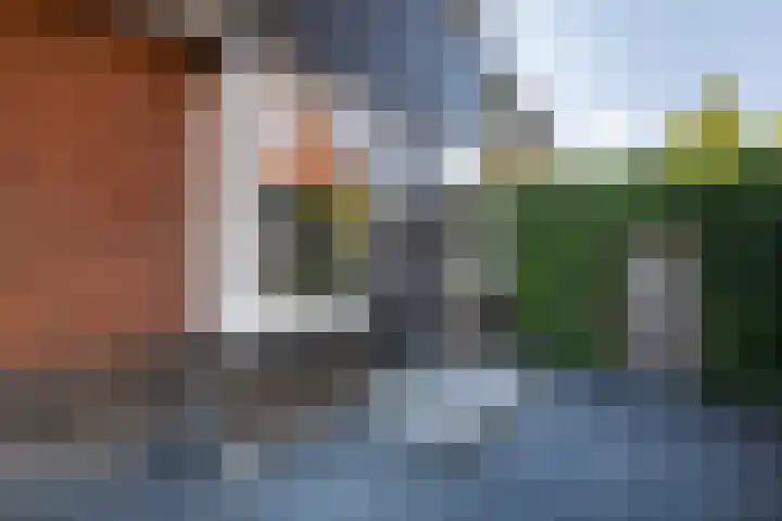 Dominicanenlaan 20 Alphen aan den Rijn thumbnail 47