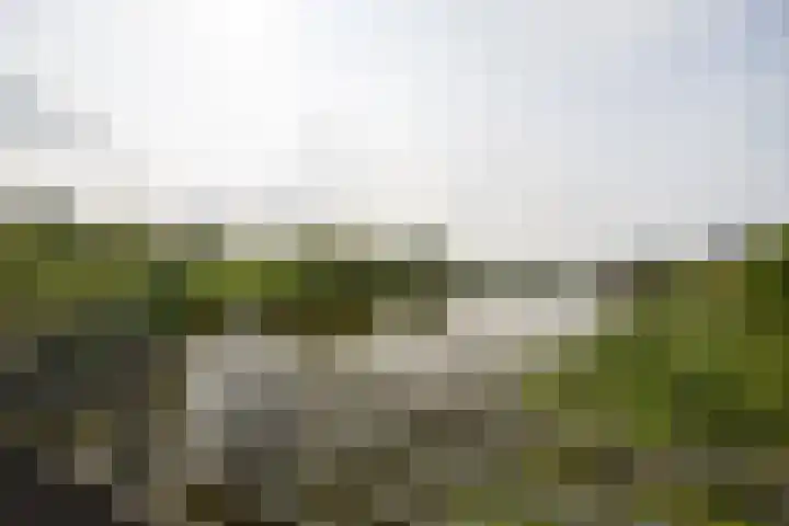 Dominicanenlaan 20 Alphen aan den Rijn thumbnail 48