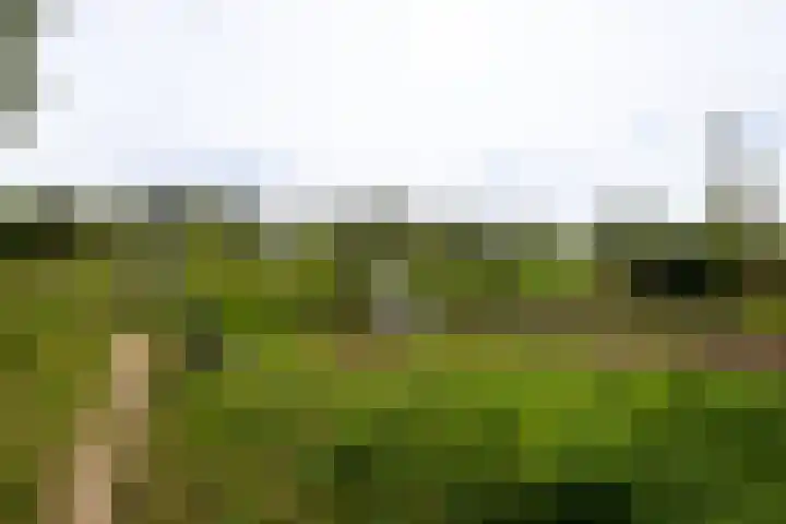 Dominicanenlaan 20 Alphen aan den Rijn thumbnail 49