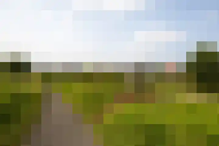 Dominicanenlaan 20 Alphen aan den Rijn thumbnail 50