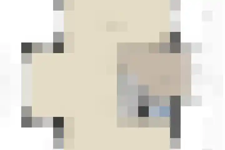 Dominicanenlaan 20 Alphen aan den Rijn thumbnail 51