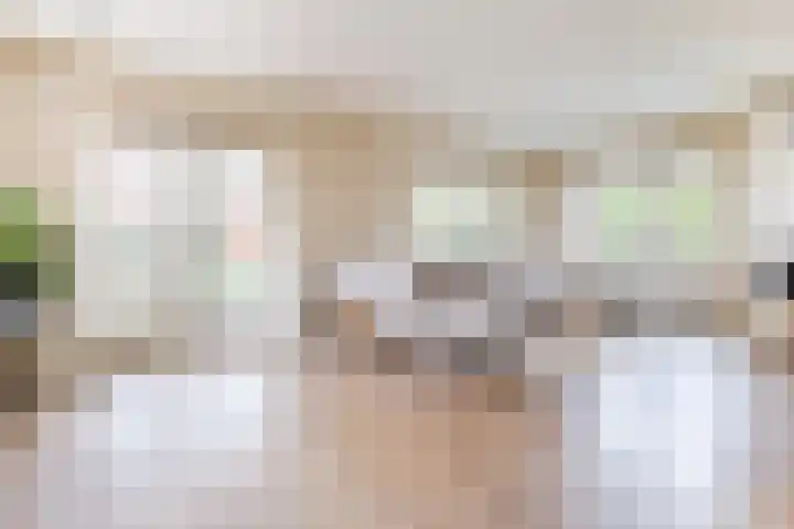 Dominicanenlaan 20 Alphen aan den Rijn thumbnail 6