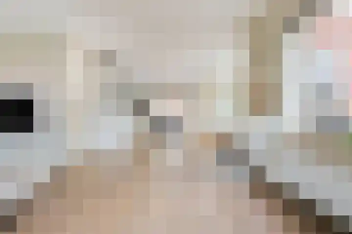 Dominicanenlaan 20 Alphen aan den Rijn thumbnail 7