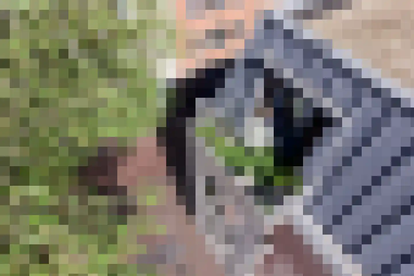 Dominicanenplein 7 Venlo thumbnail 25