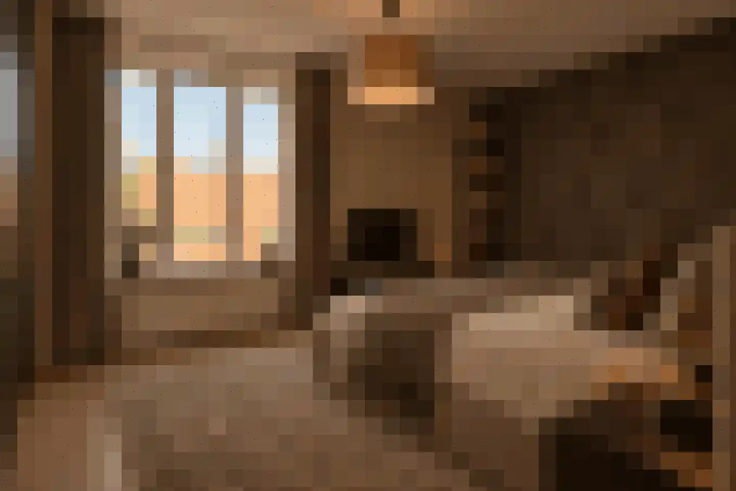 Dominicanenplein 7 Venlo thumbnail 7