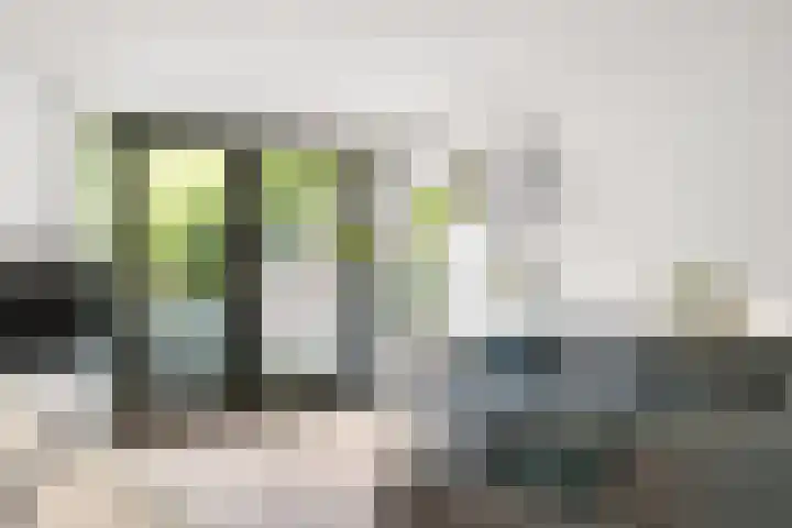 Dominicanenstraat 12 Huissen thumbnail 13