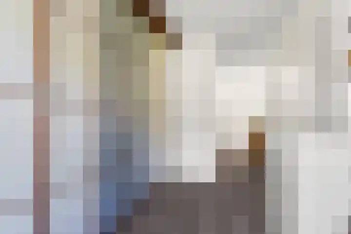 Dominicanenstraat 12 Huissen thumbnail 21