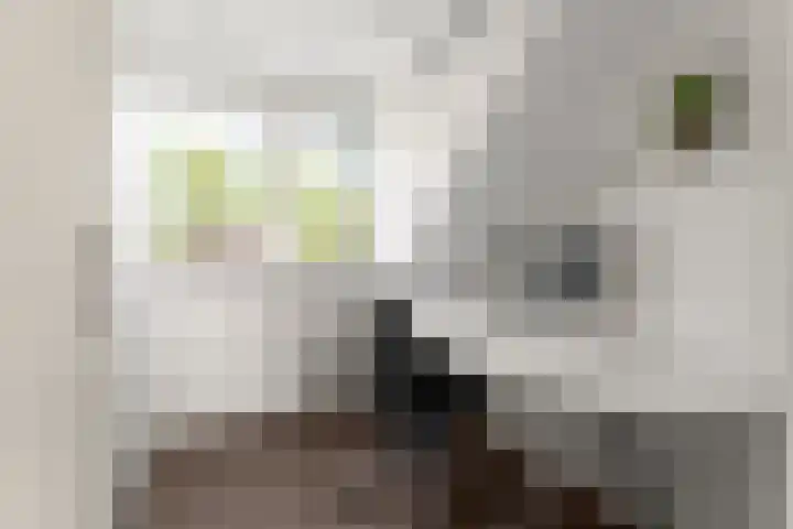 Dominicanenstraat 12 Huissen thumbnail 30