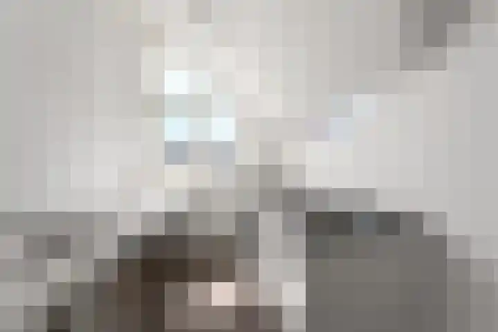 Dominicanenstraat 12 Huissen thumbnail 32
