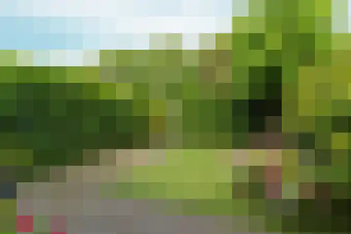 Dominicanenstraat 12 Huissen thumbnail 38