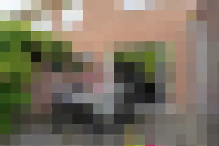 Dominicanenstraat 12 Huissen thumbnail 41