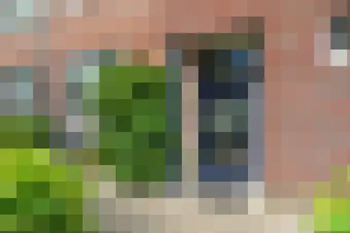 Dominicanenstraat 12 Huissen thumbnail 43