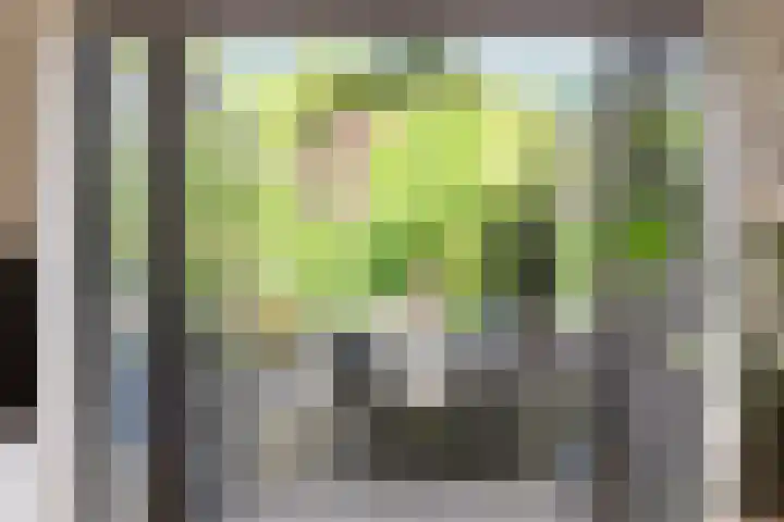 Dominicanenstraat 12 Huissen thumbnail 5