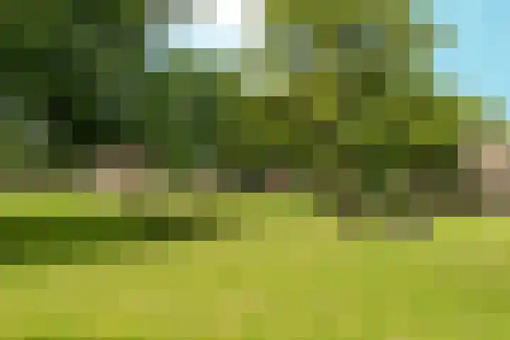 Dominicanenstraat 12 Huissen thumbnail 51