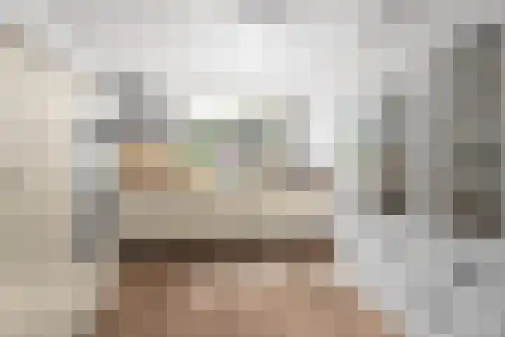Dominicanenstraat 12 Huissen thumbnail 9