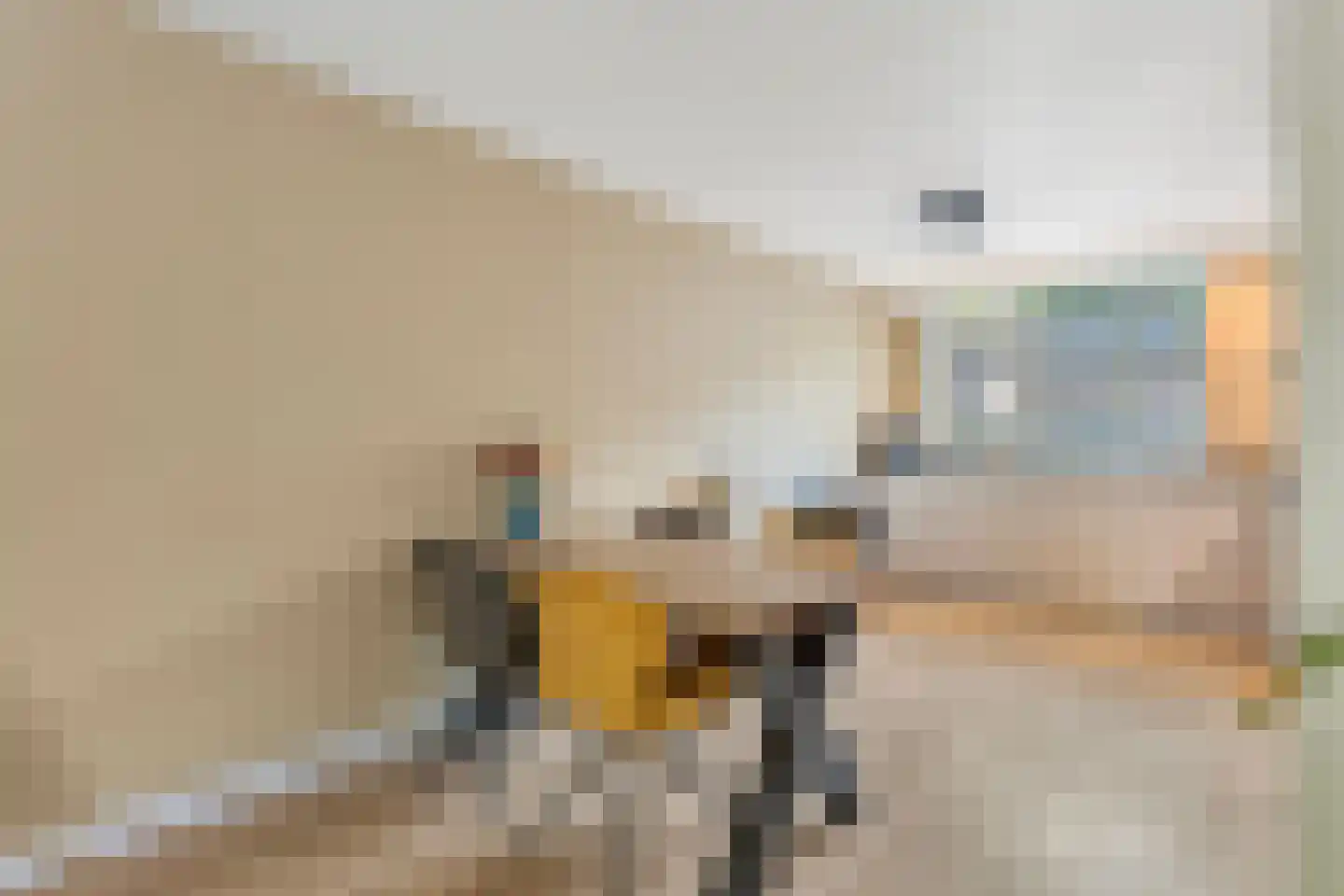 Dominicanenstraat 18 Huissen thumbnail 11