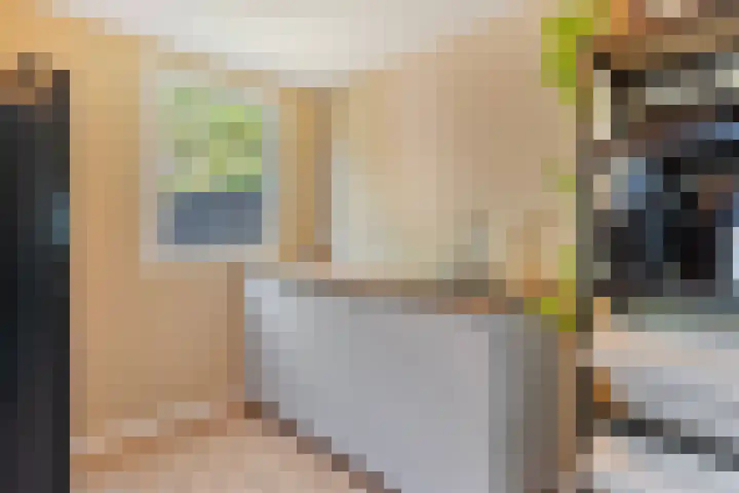 Dominicanenstraat 18 Huissen thumbnail 14