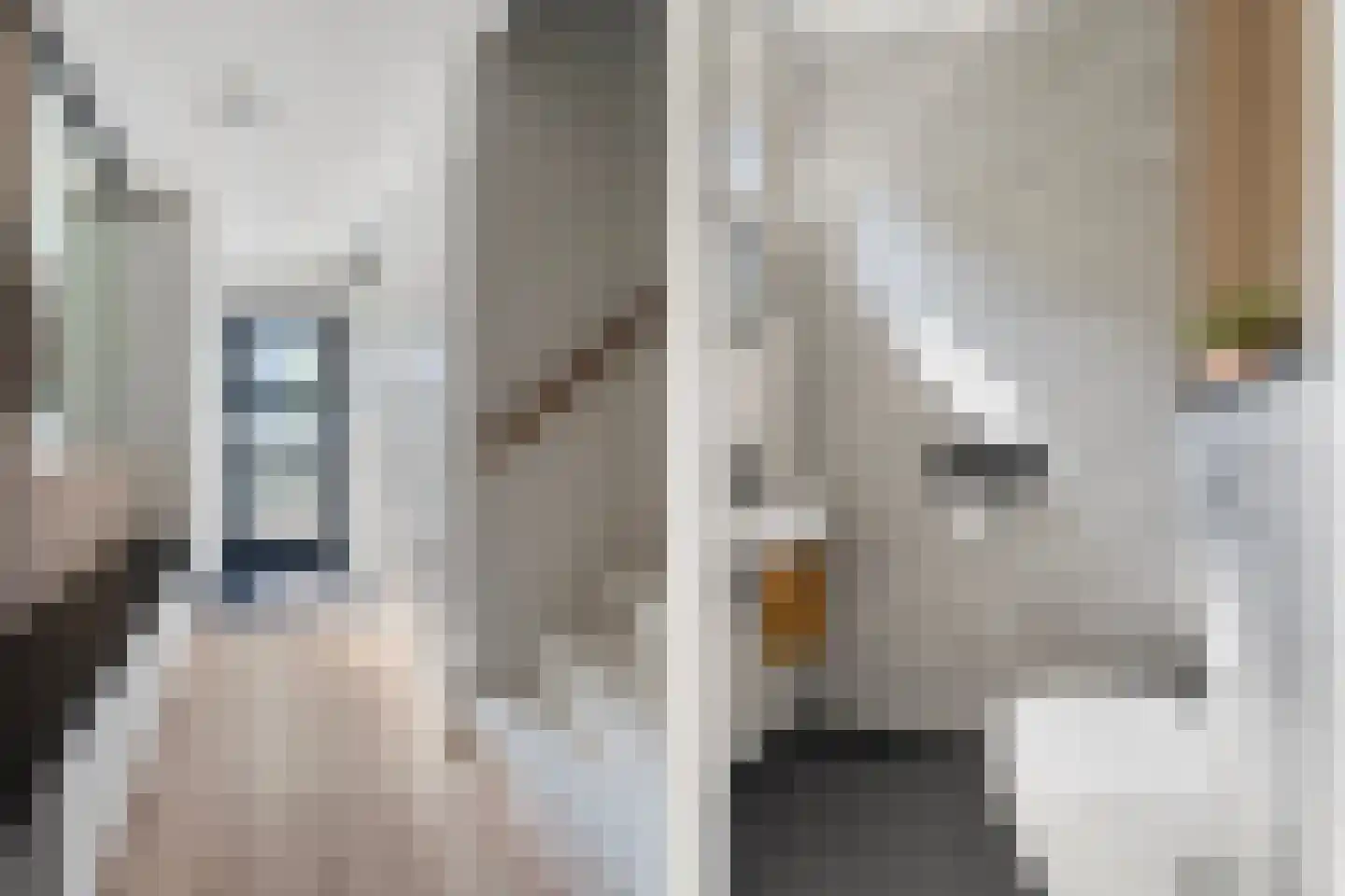 Dominicanenstraat 18 Huissen thumbnail 16