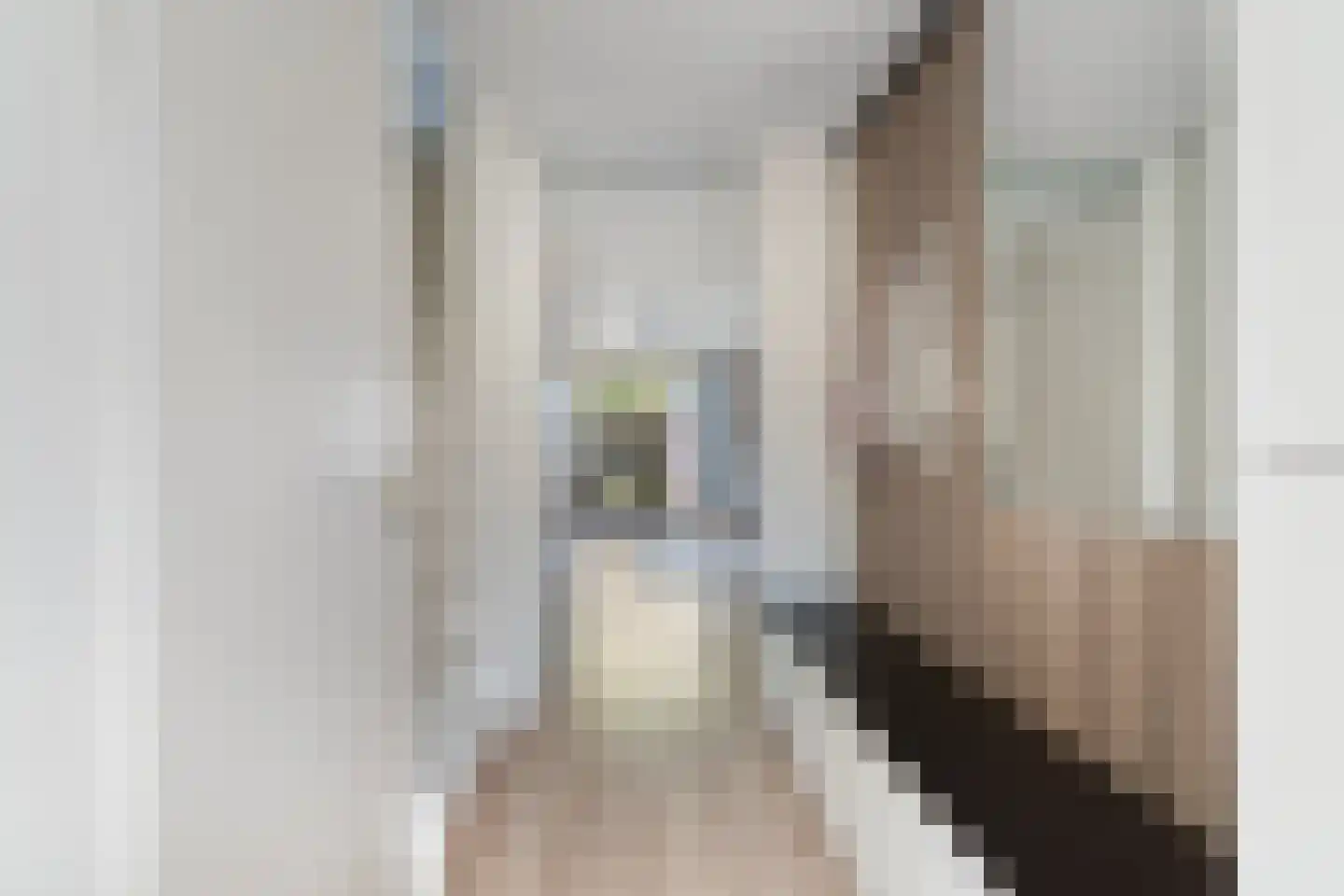 Dominicanenstraat 18 Huissen thumbnail 17