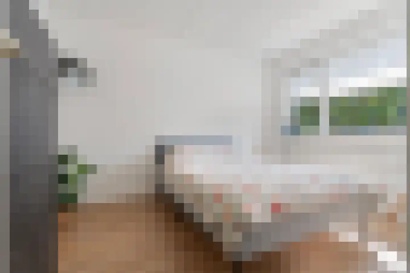 Dominicanenstraat 18 Huissen thumbnail 21