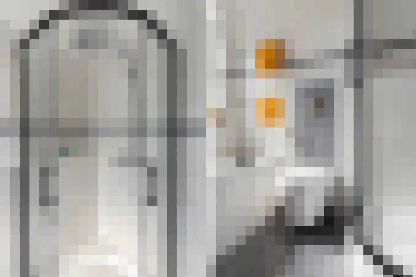 Dominicanenstraat 18 Huissen thumbnail 26