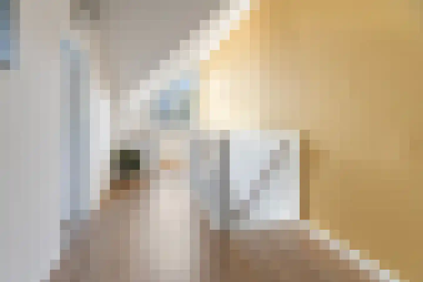 Dominicanenstraat 18 Huissen thumbnail 32