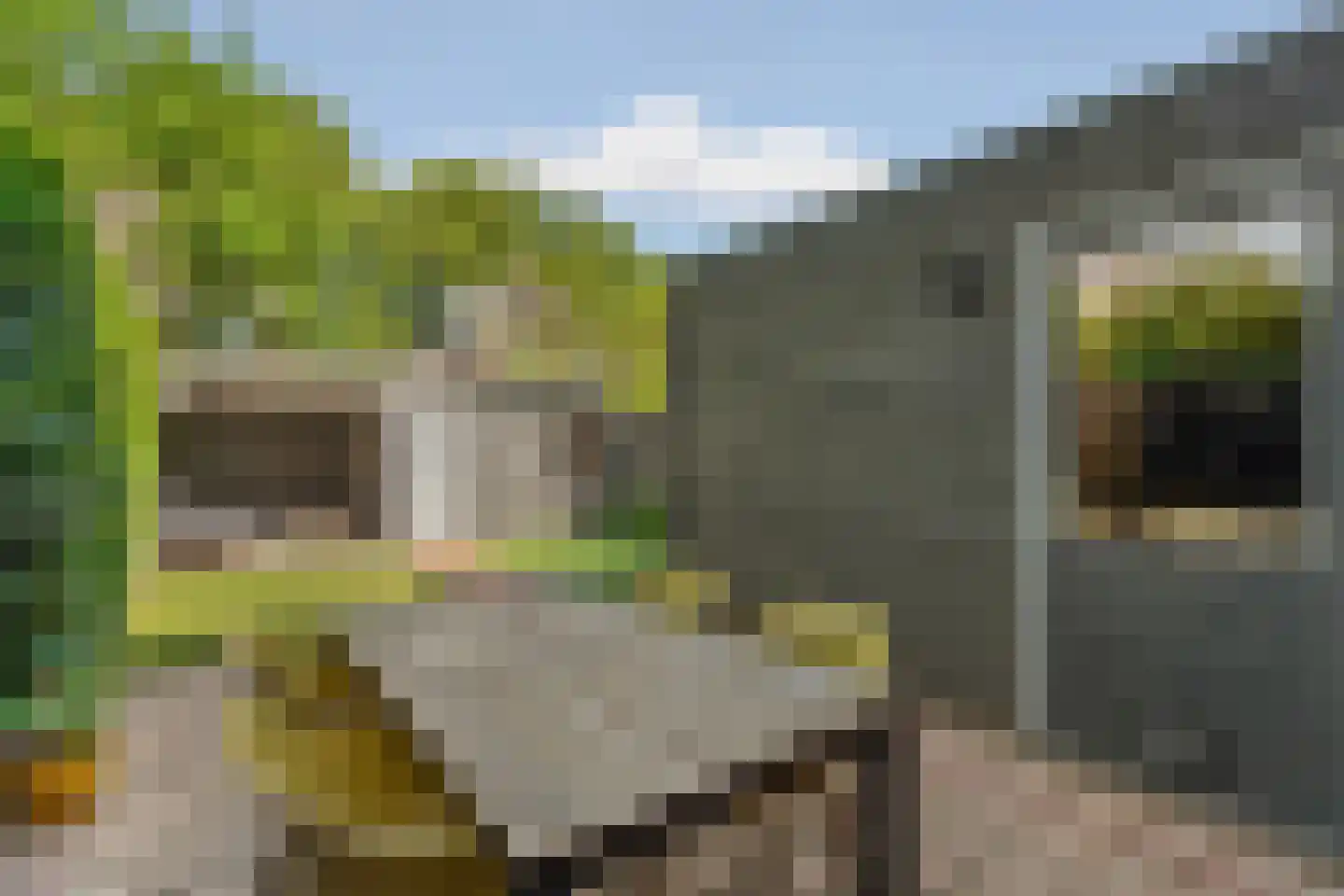 Dominicanenstraat 18 Huissen thumbnail 38