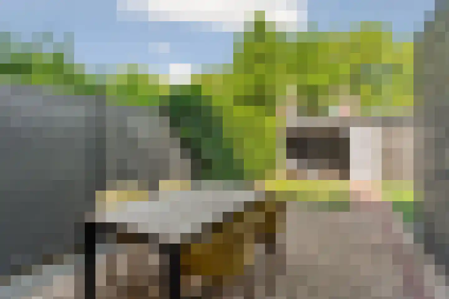 Dominicanenstraat 18 Huissen thumbnail 39